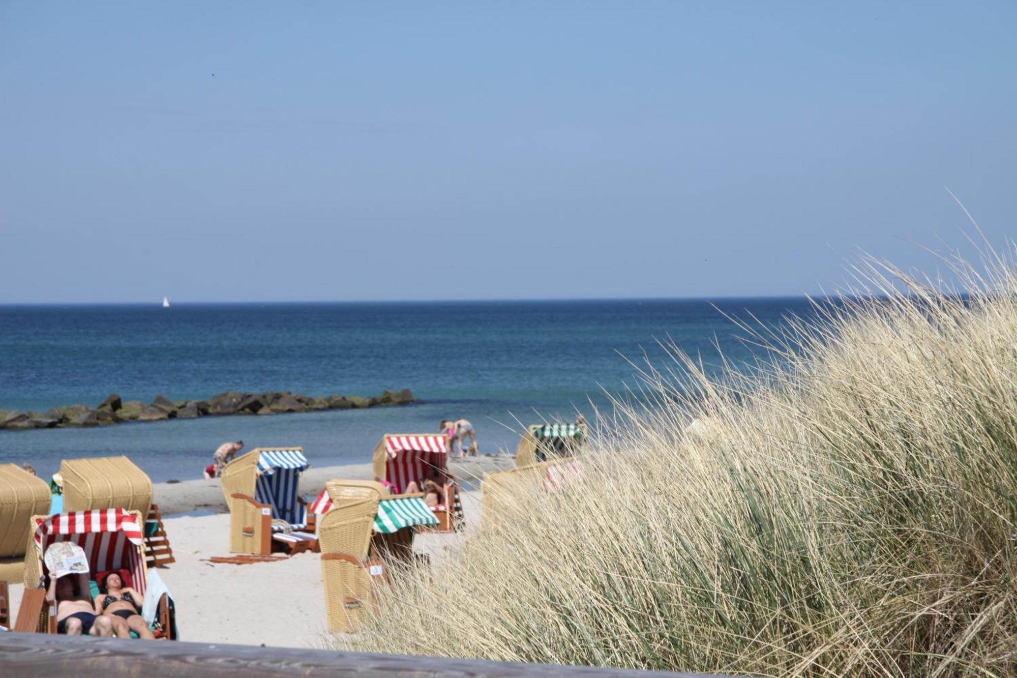 Am Horizont No 3: Seaside Garden Retreat With Office Apartment Zingst
